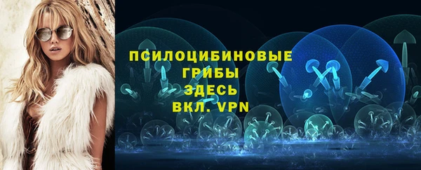 винт Аркадак