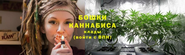 винт Аркадак