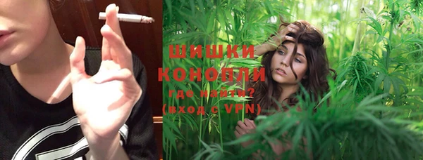 прущие грибы Тавда