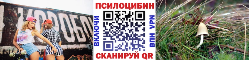 маркетплейс клад  Тюкалинск  Псилоцибиновые грибы мухоморы  закладки 